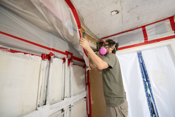 Best Asbestos and Lead Testing During Mold Inspection  in La Vernia, TX